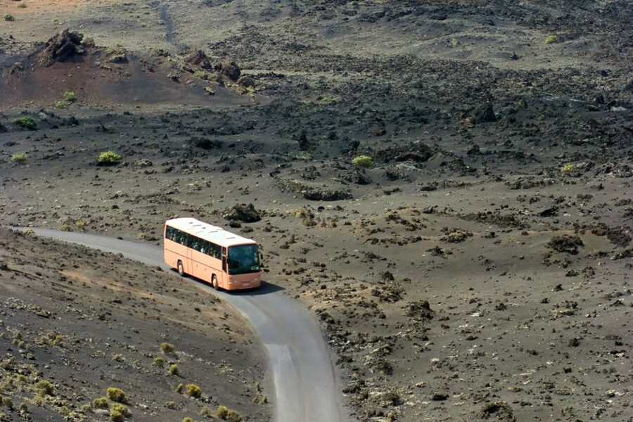 From Fuerteventura: Lanzarote Volcano and Wine Region Tour - The aloe vera museum is really a shop visit