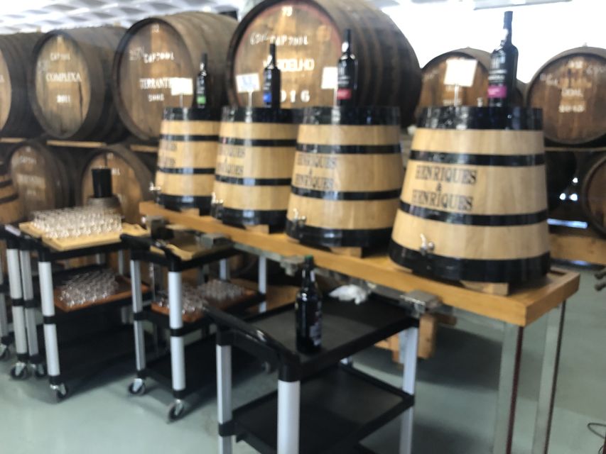 From Funchal: Open Roof Jeep Tour with Madeira Wine Tasting - Who should book this Madeira Jeep tour?