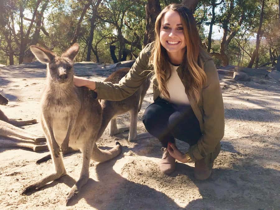 From Haymarket: Hunter Valley Wine and Wildlife Day Trip - Kangaroos and koalas come first