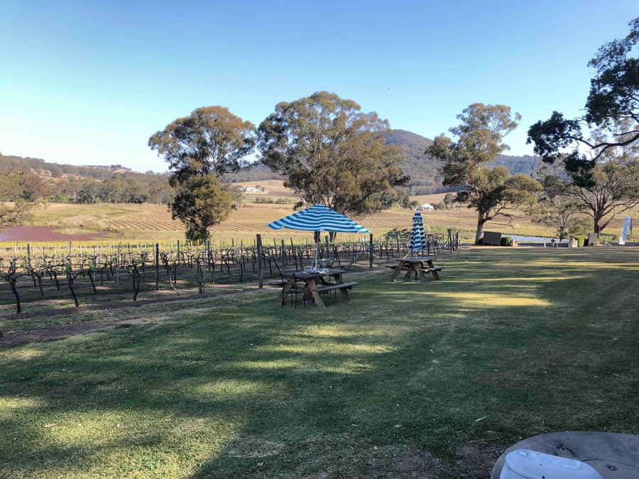 From Haymarket: Hunter Valley Wine and Wildlife Day Trip - Two boutique vineyards, chosen for your group