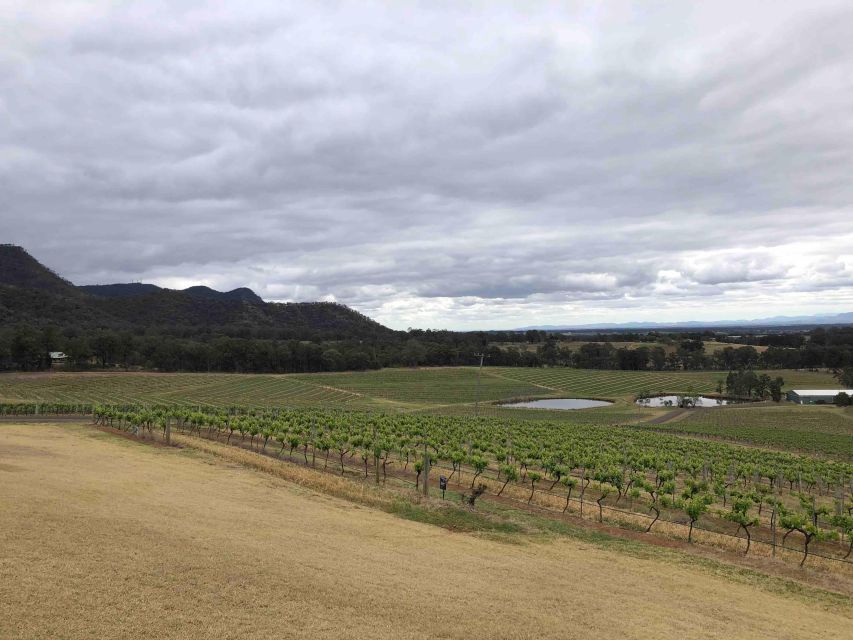 From Haymarket: Hunter Valley Wine and Wildlife Day Trip - Views, tastings, and the rhythm of the afternoon