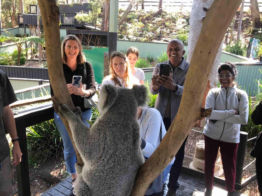 From Haymarket: Hunter Valley Wine and Wildlife Day Trip - What the price really includes