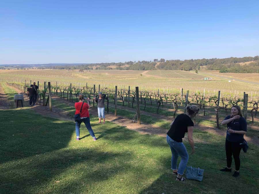 From Haymarket: Hunter Valley Wine and Wildlife Day Trip - Who will enjoy this day most
