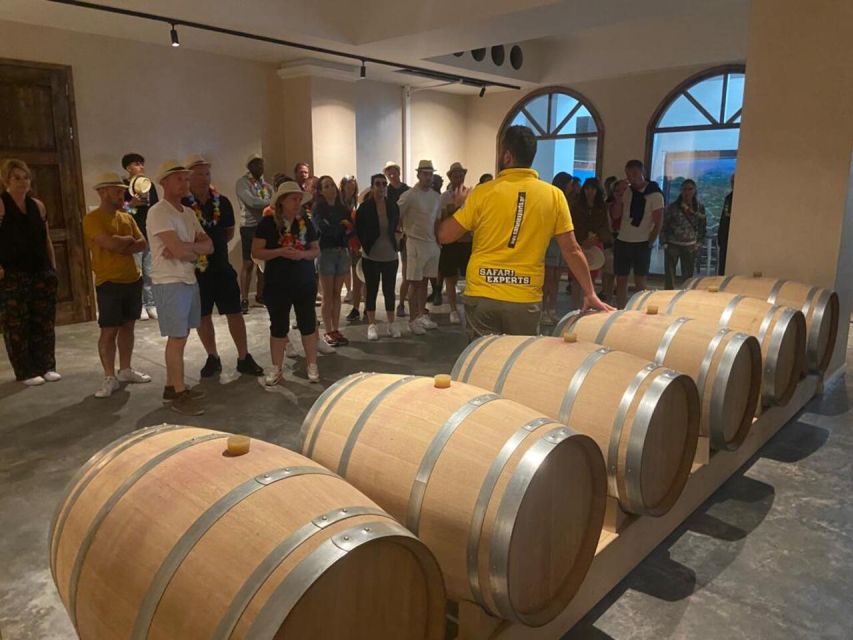 From Heraklion: Matala Beach - Caves & winery Full Day tour - Is $110 good value?
