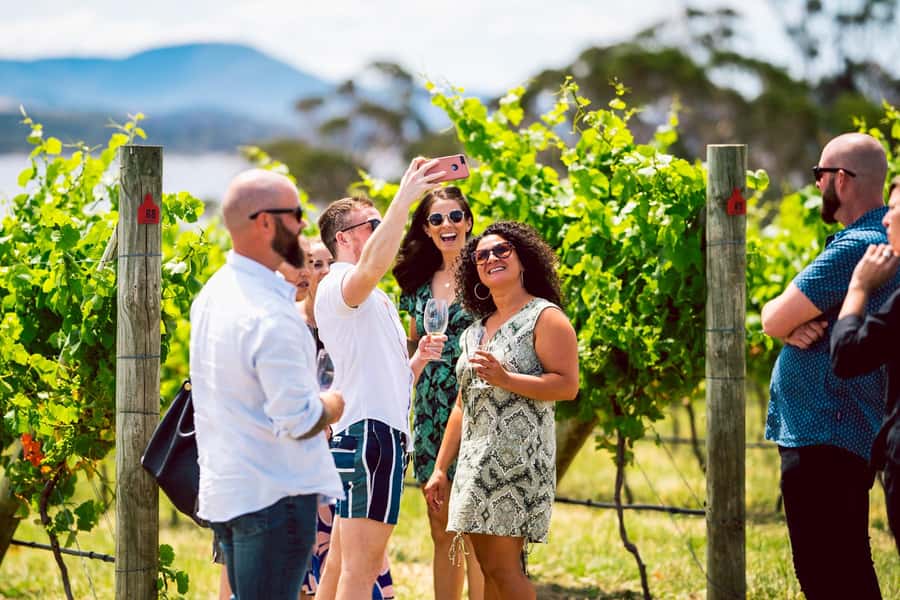 From Hobart: Tasmanian Wine Tour - Four cellar doors, one full Southern Tasmania day