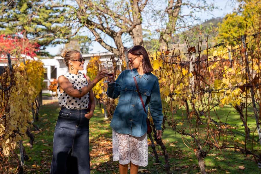 From Hobart: Tasmanian Wine Tour - Why Tasmania’s cool-climate wines matter