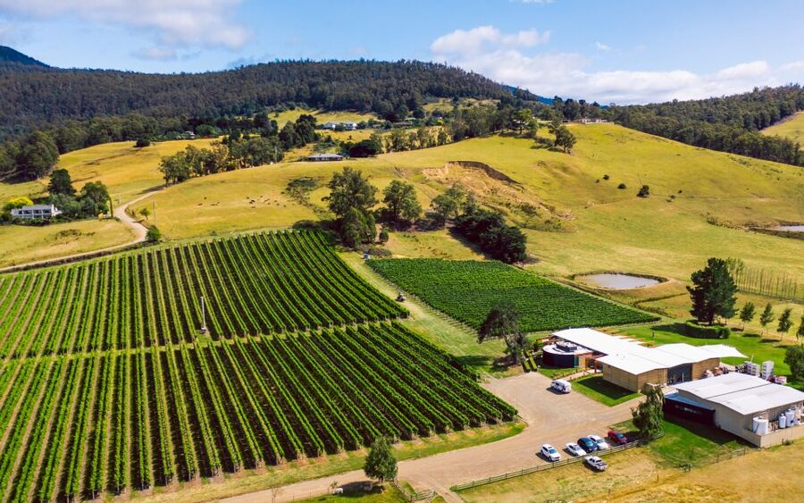 From Hobart: Tasmanian Wine Tour - The price and what you get for $204
