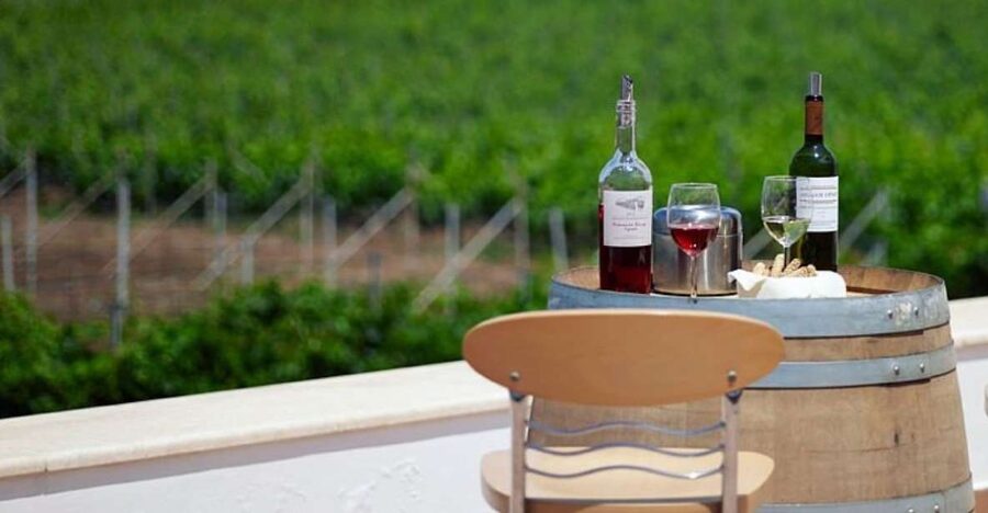From Kos: Tour of 2 Wineries with Wine Tasting & Small Bites - Why Two Kos Wineries Make Sense