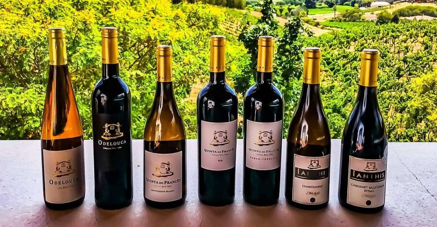 From Lagos: Small-Group 4-Hour Wine Tasting Tour - Why this Lagos wine tour works