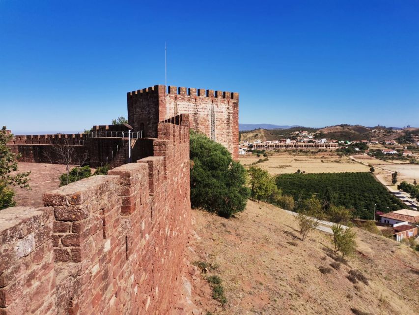 From Lagos: Small-Group 4-Hour Wine Tasting Tour - Who will enjoy this most