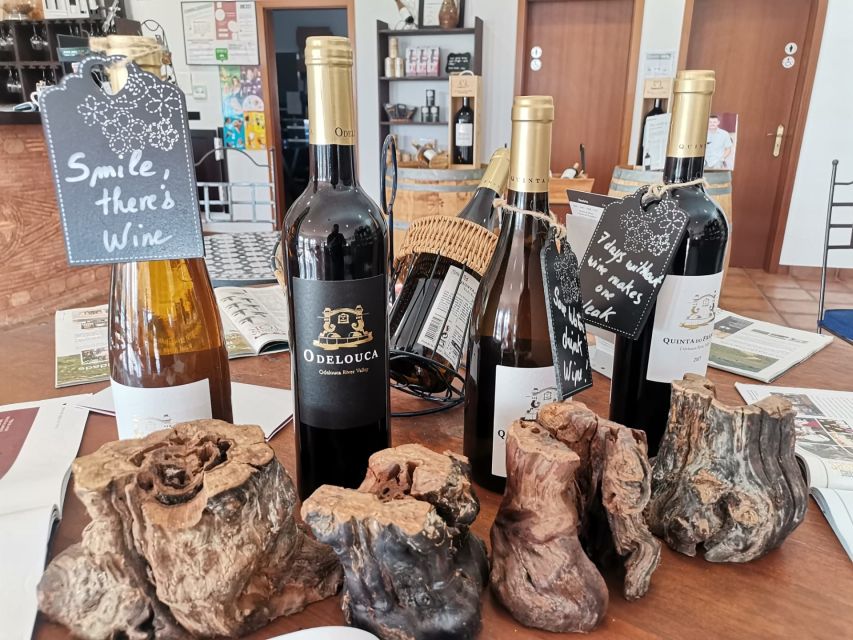 From Lagos: Small-Group 4-Hour Wine Tasting Tour - Should you book it?