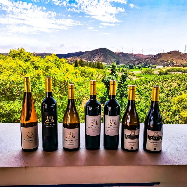From Lagos: Small-Group 4-Hour Wine Tasting Tour - Forty-five minutes in Silves
