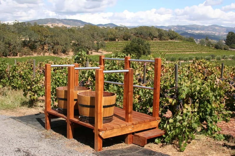 From Lake Garda: Valpolicella Wine & Lunch Guided Trip - Starting the day with a coach transfer
