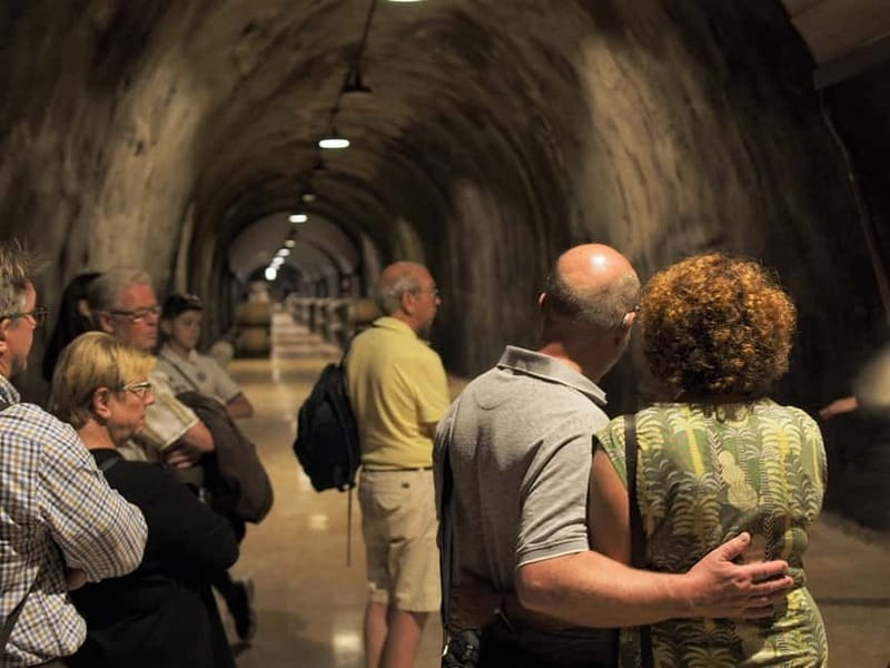 From Lake Garda: Valpolicella Wine & Lunch Guided Trip - Lunch at a Valpolicella agriturismo