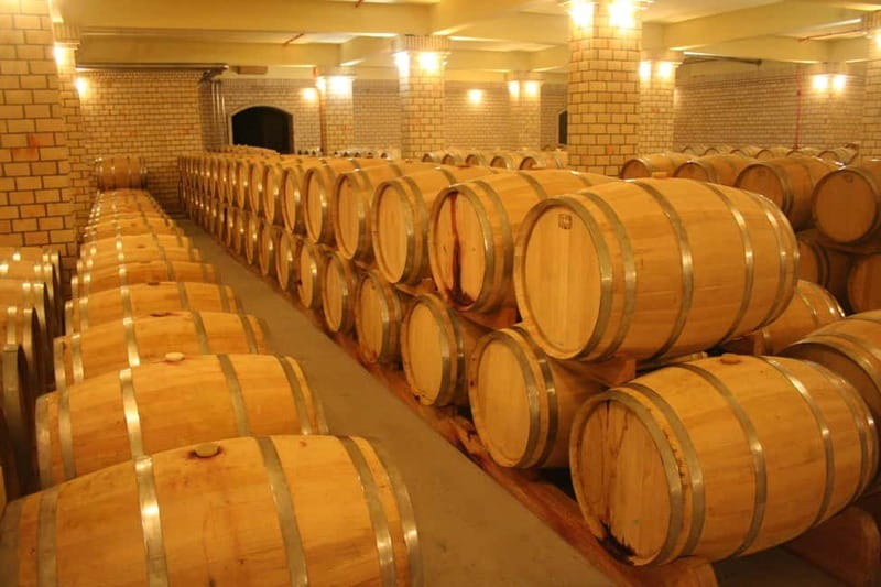 From Lake Garda: Valpolicella Wine & Lunch Guided Trip - Who will enjoy this day most
