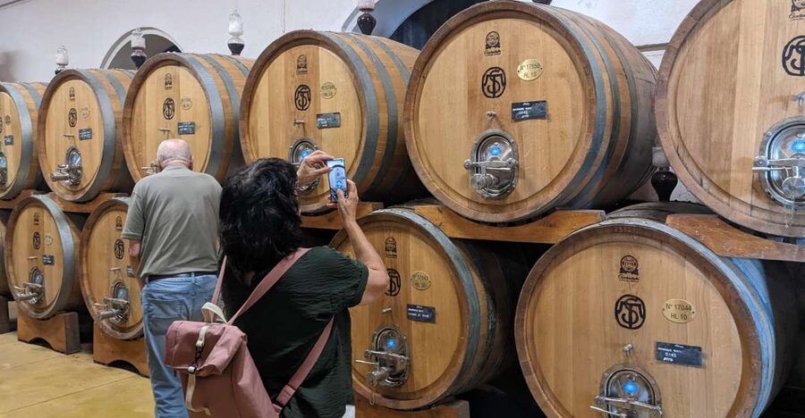 From Lake Garda: Valpolicella Wine & Lunch Guided Trip - Should you book the Valpolicella day trip?