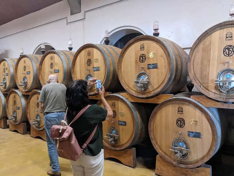 From Lake Garda: Valpolicella Wine & Lunch Guided Trip - Tasting red wine in a local cellar