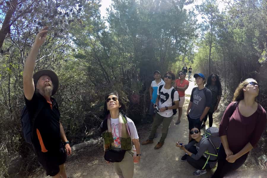 From Launceston: Full-Day Wineglass Bay Explorer Active Tour - Sleepy Bay adds another coastal angle