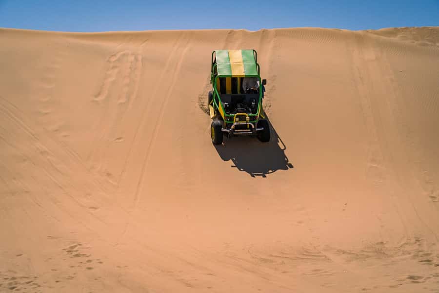 From Lima: Ballestas Islands, Huacachina, and Vineyard Tour - The guides make the difference