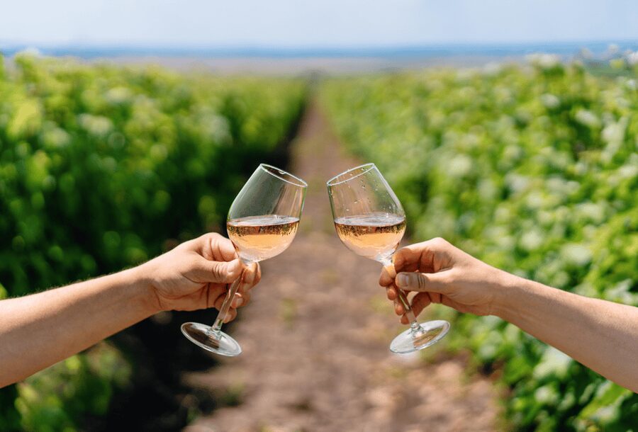 From Lisbon: Évora + Chapel of Bones + Monsaraz + Alentejo Wines - The road to Monsaraz and Lake Alqueva