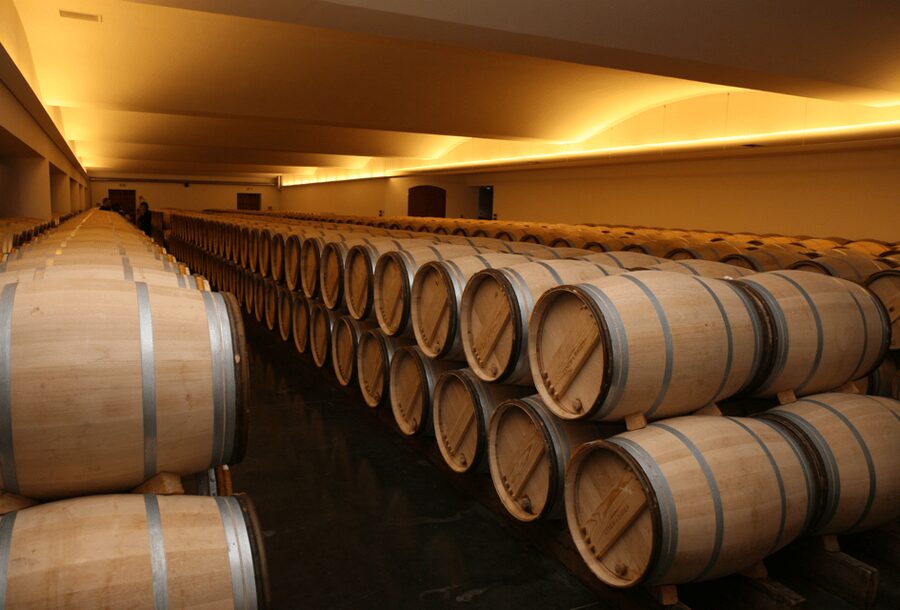 From Lisbon: Évora + Chapel of Bones + Monsaraz + Alentejo Wines - Who should book this experience?