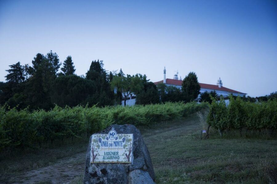 From Lisbon: Évora Wine & Heritage Tour - Who will enjoy this full-day outing