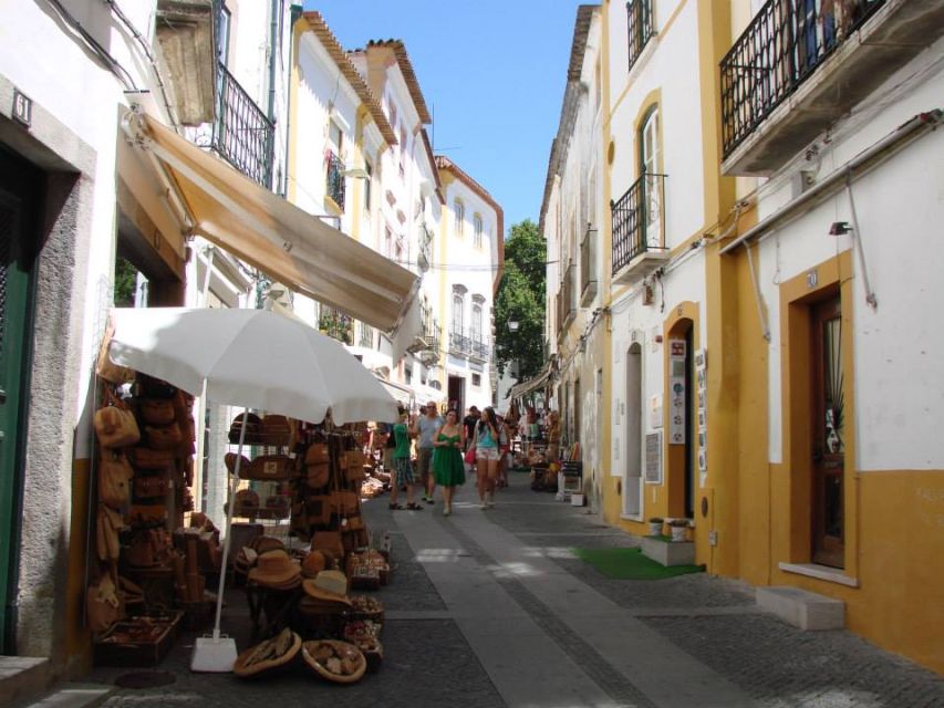 From Lisbon: Évora Wine & Heritage Tour - Is the $100 price fair?