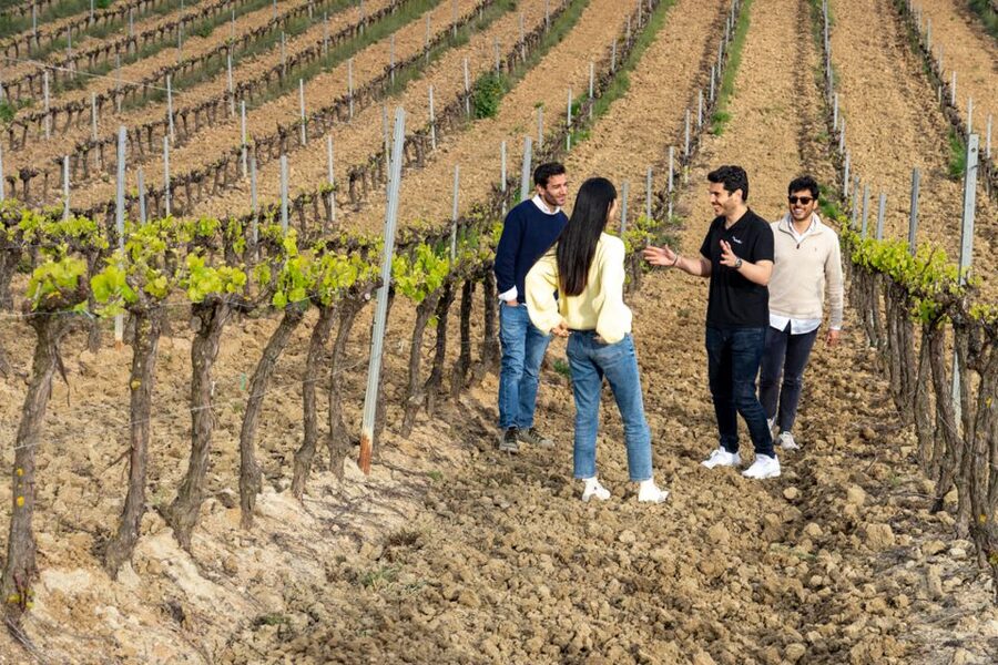 From Lisbon: Sintra & Pena Palace Day Trip with Wine Tasting - The 45-minute ride from Lisbon to Sintra