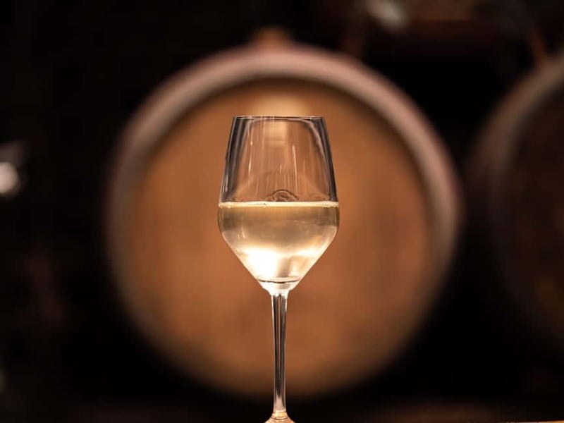 From Ljubljana: Vipava Valley Wine Express Tour - Why the Vipava Valley makes a good wine day