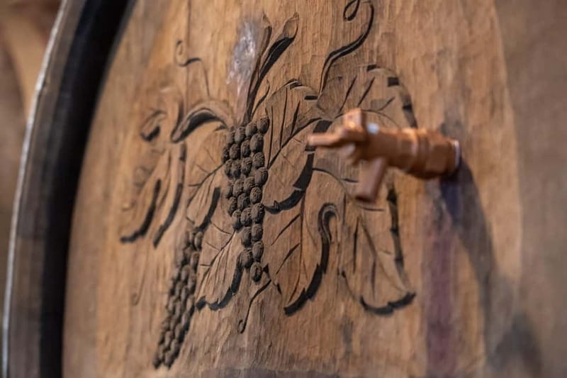 From Ljubljana: Vipava Valley Wine Express Tour - The second winery: a different side of Vipava wine