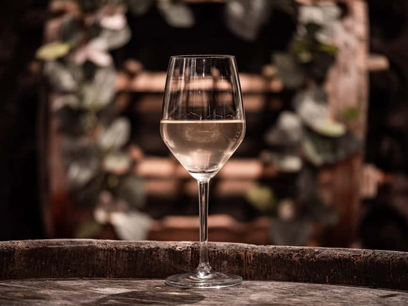 From Ljubljana: Vipava Valley Wine Express Tour - The drinking pace and who should book