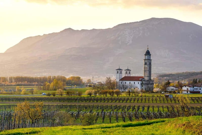 From Ljubljana: Vipava Valley Wine Express Tour - The afternoon departure from Ljubljana