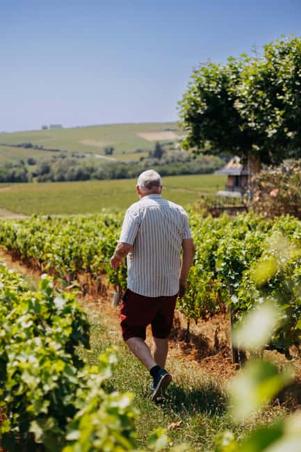 From Lyon: Beaujolais Wine Route Half-Day Tour - Should you book the Beaujolais Wine Route tour?