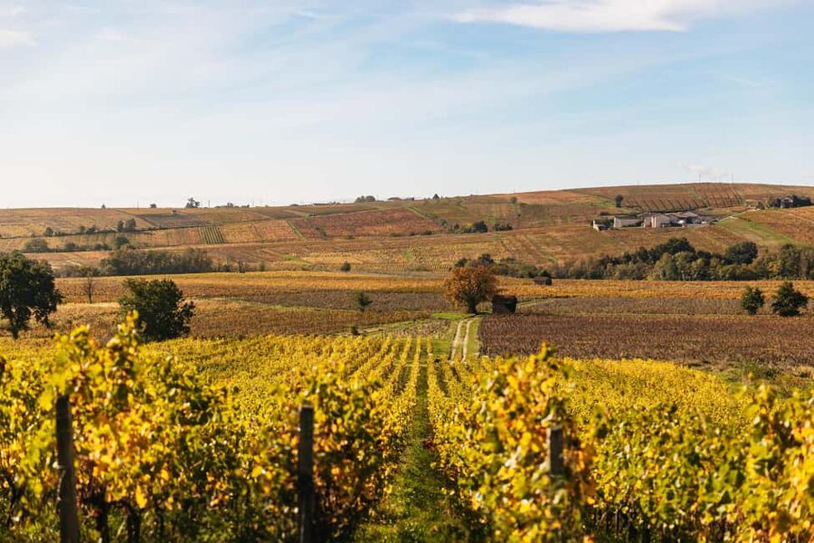 From Lyon: Beaujolais Wine Tour with Tastings - Why this Beaujolais tour works well from Lyon