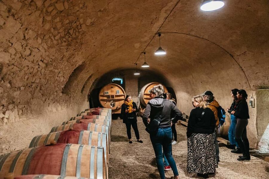 From Lyon: Beaujolais Wine Tour with Tastings - What makes Gamay and Beaujolais different