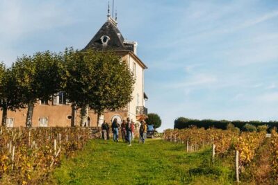 Beaujolais Wine Tour with Tastings