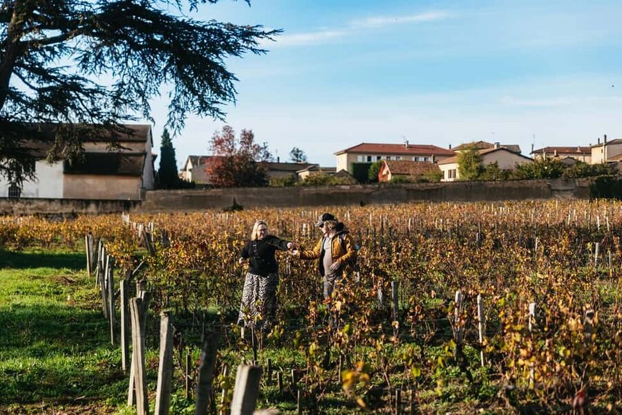 From Lyon: Beaujolais Wine Tour with Tastings - First winery: meeting the family behind the bottle