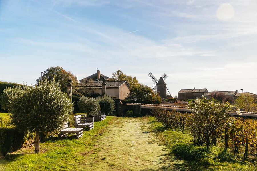 From Lyon: Beaujolais Wine Tour with Tastings - Who should book this experience
