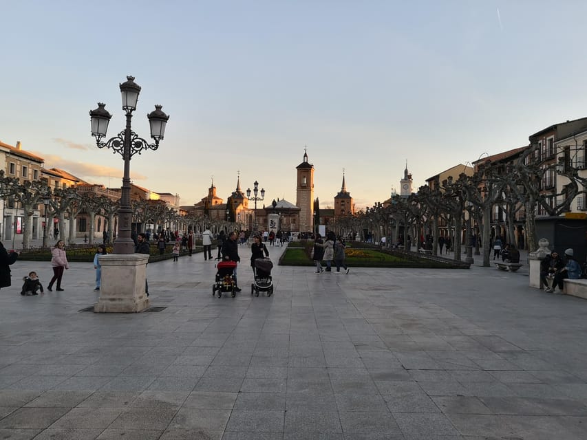 From Madrid: Alcalá de Henares, Winery Tour & Wine Tasting - Leaving Madrid from Plaza de España