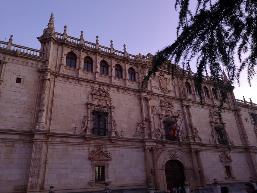 From Madrid: Alcalá de Henares, Winery Tour & Wine Tasting - What the wine tasting is really like
