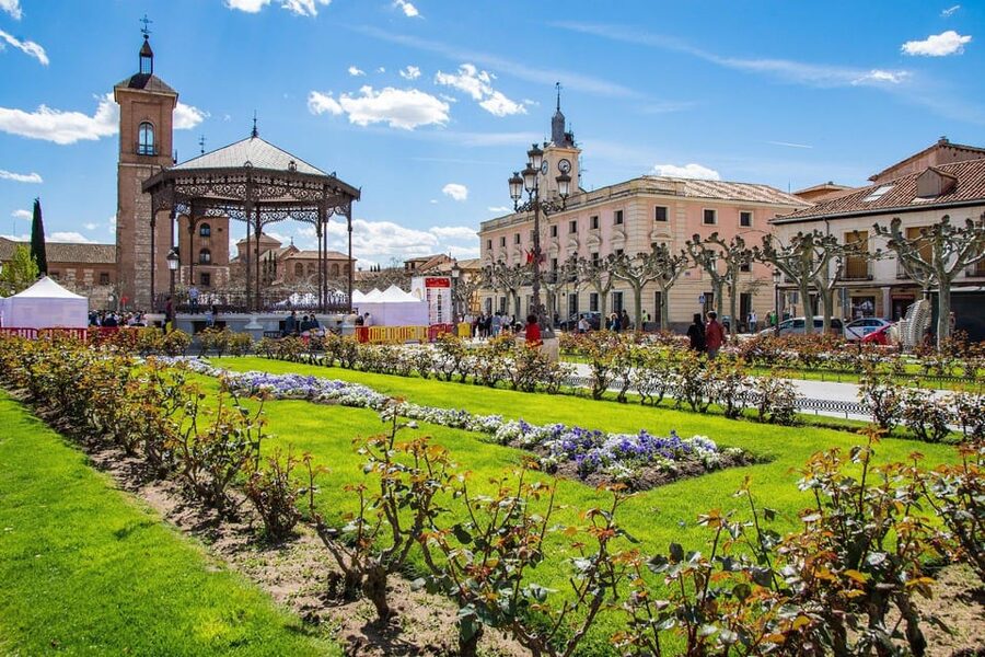 From Madrid: Alcalá de Henares, Winery Tour & Wine Tasting - Walking through Cervantes’ Alcalá