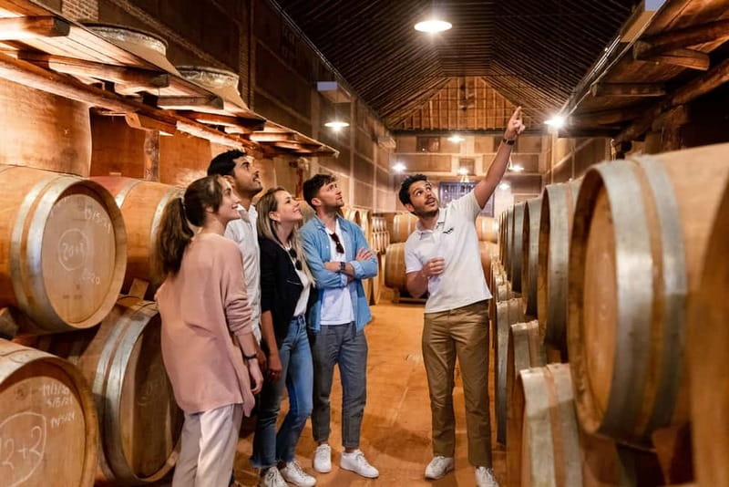 From Madrid: Toledo Guided Tour & Winery Visit with Tasting - Why this Toledo and winery combination works
