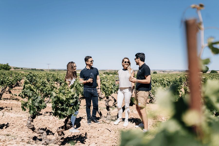 From Madrid: Traditional Villages, Winery Tour & Tapas Lunch - Key points at a glance