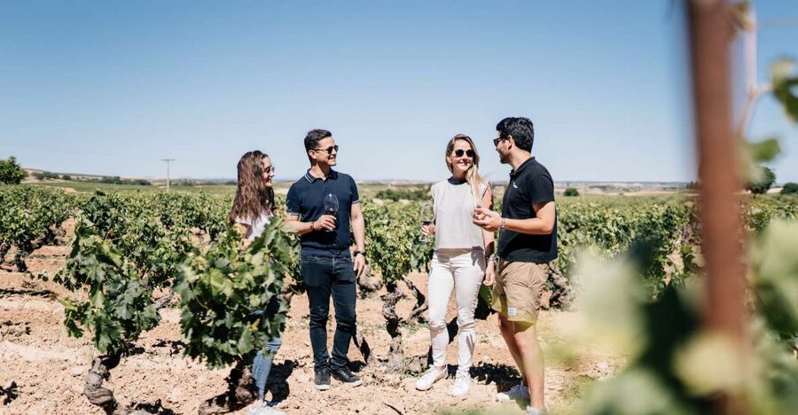 From Madrid: Traditional Villages, Winery Tour & Tapas Lunch - Three Madrid-region experiences in one day