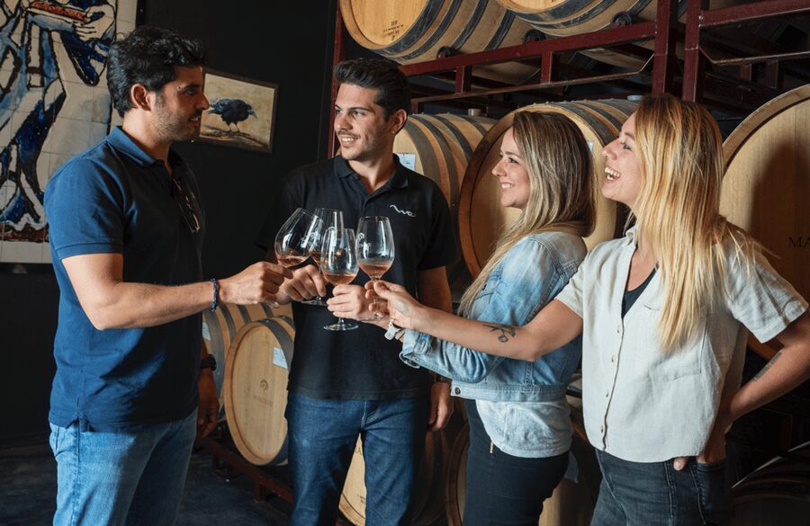 From Madrid: Traditional Villages, Winery Tour & Tapas Lunch - Is $204 a fair price?