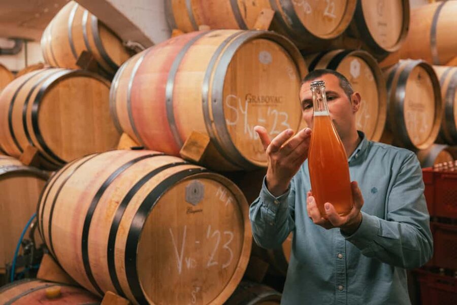 From Makarska Riviera : Wine Tasting Grabovac Tour - Key points to know before booking