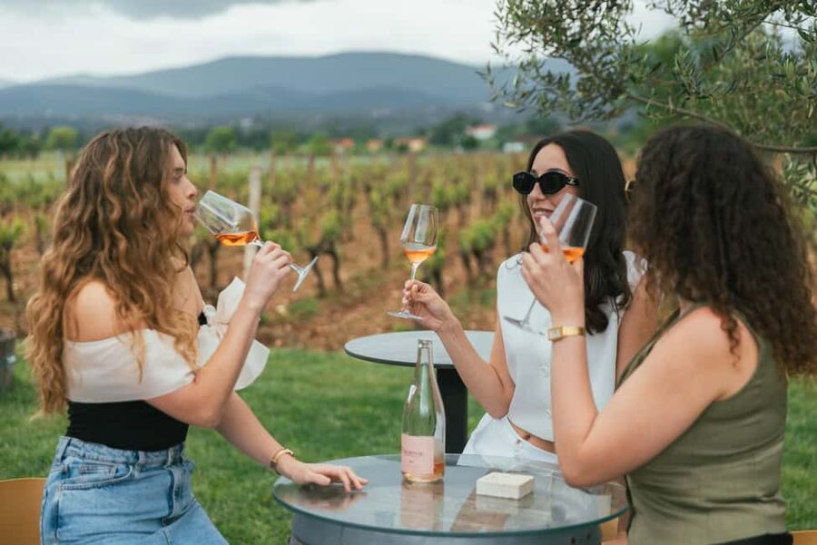 From Makarska Riviera : Wine Tasting Grabovac Tour - Five wines, Dalmatian food, and time to compare