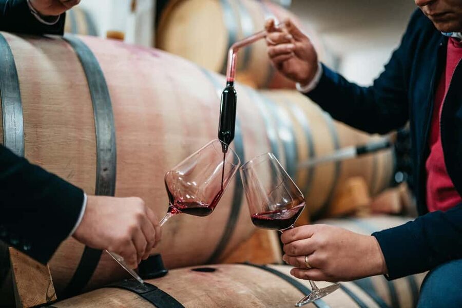 From Makarska Riviera : Wine Tasting Grabovac Tour - A relaxed 2.5 hours inside the winery