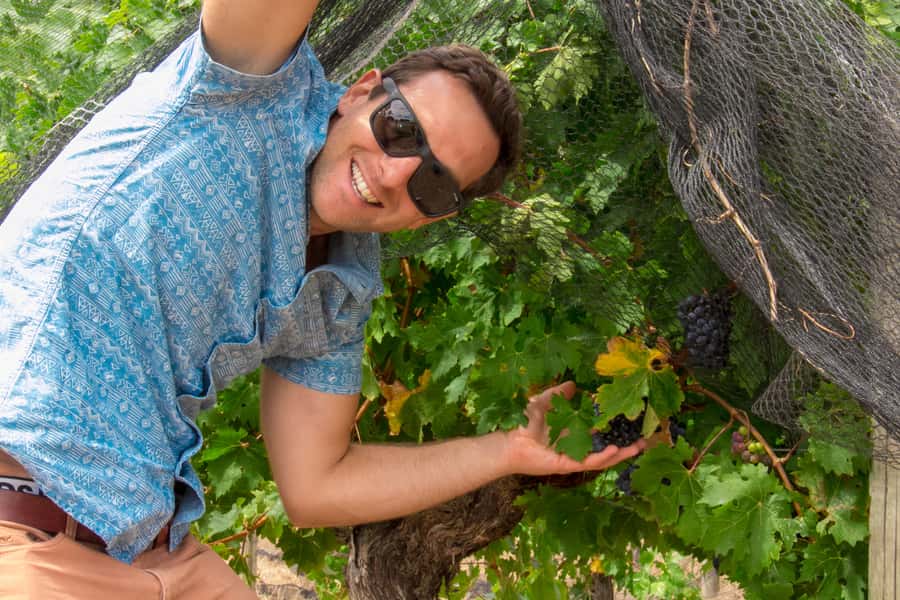 From Margaret River: Margaret River Wine Adventure - Woodfired pizza and a generous regional lunch