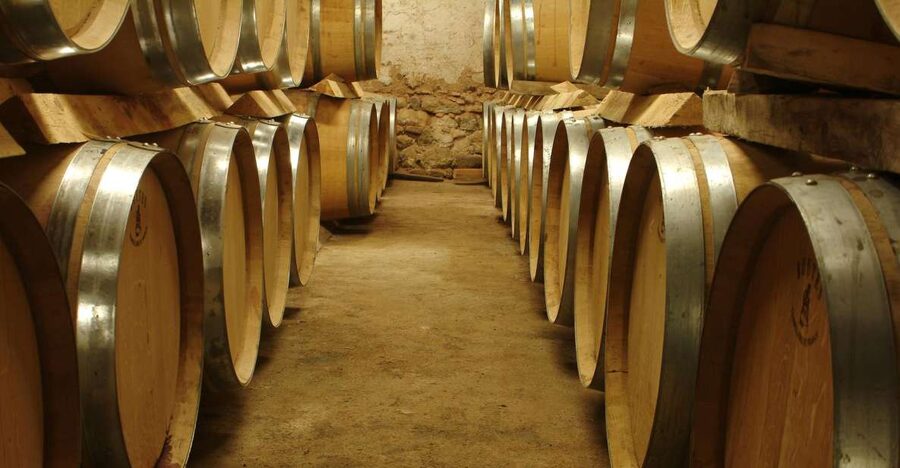 From Marseille: Aix en Provence Wine and Cheese Tour - The first vineyard: an introduction to Provence in the glass